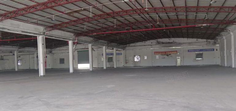 主干大道边独院钢构22000平方大小分租滴水6米有消防喷淋