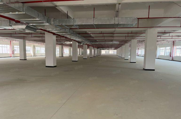 低价出租仲凯高新区一手房东独院厂房16600平方米