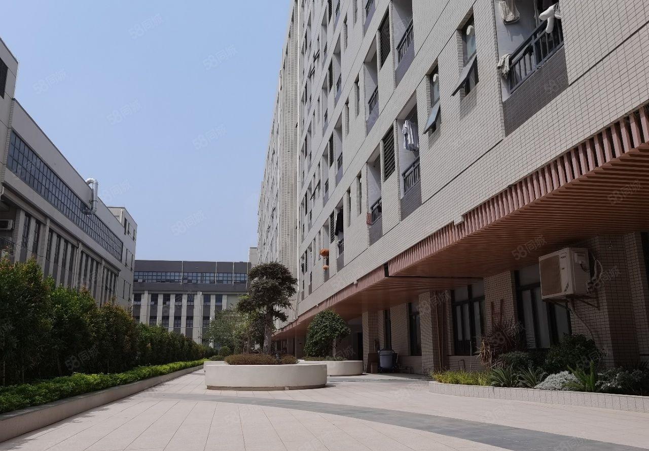 仲恺高新区陈江镇全新高大上标准厂房15000平出租可分租