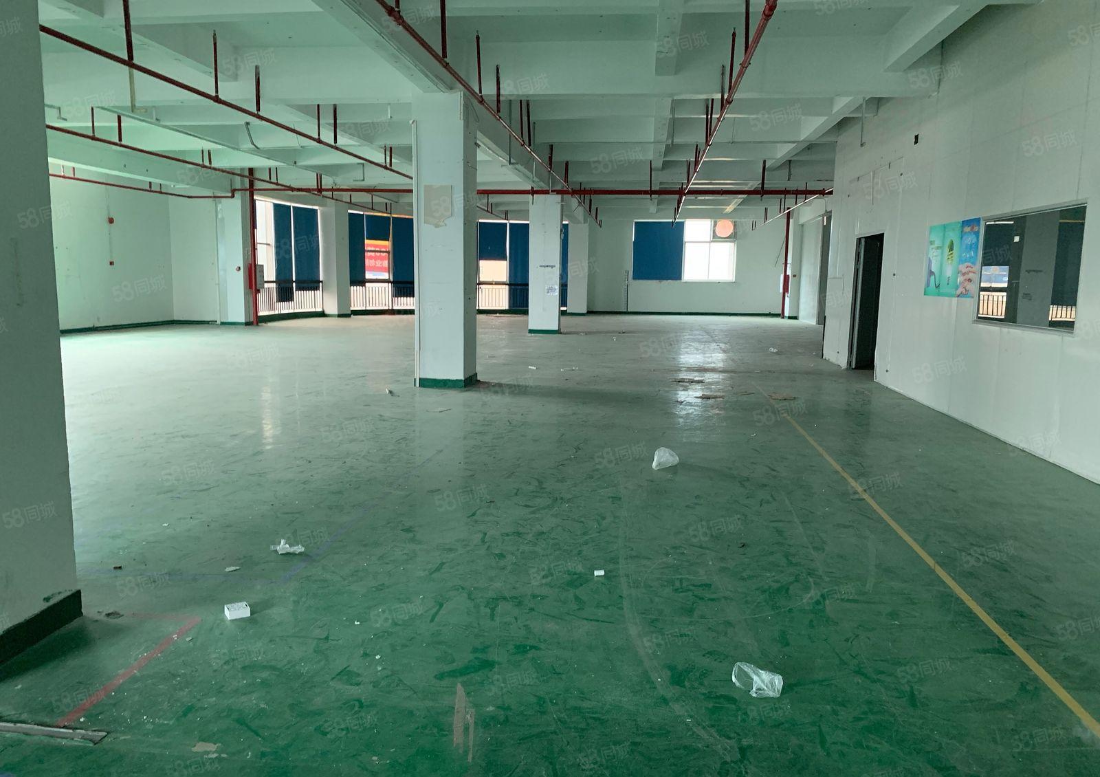 独院仲恺厂房5000多平方宿舍2000多。空地大