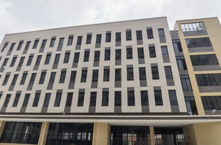 12块原房东实际面积！仲恺陈江高新产业园出租独栋全新厂房