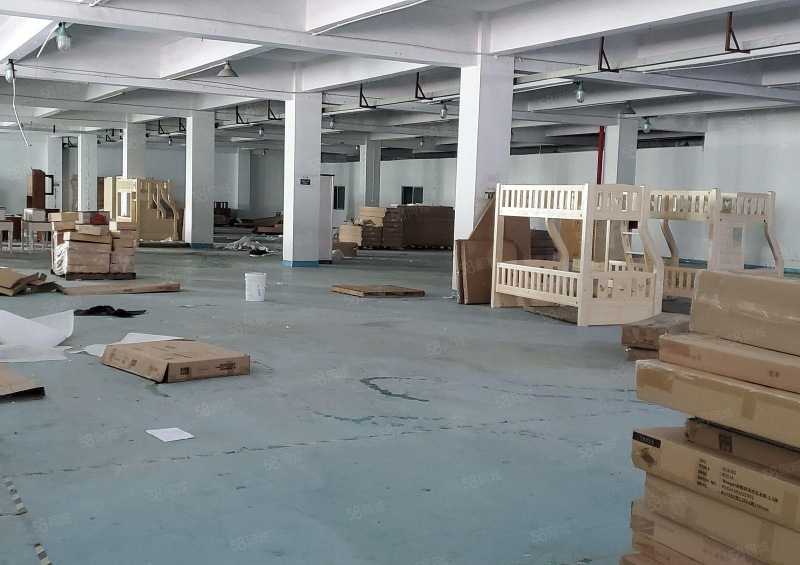 仲恺陈江6000方独门独院红本厂房出租好招工大空地3吨货梯