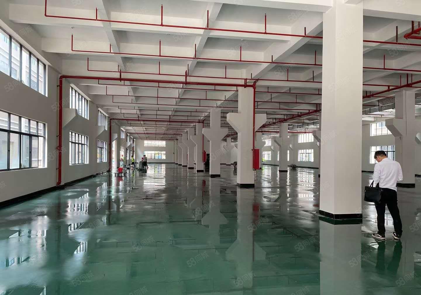 惠州仲恺陈江高新区全新厂房7000平出租可分租500平方起分