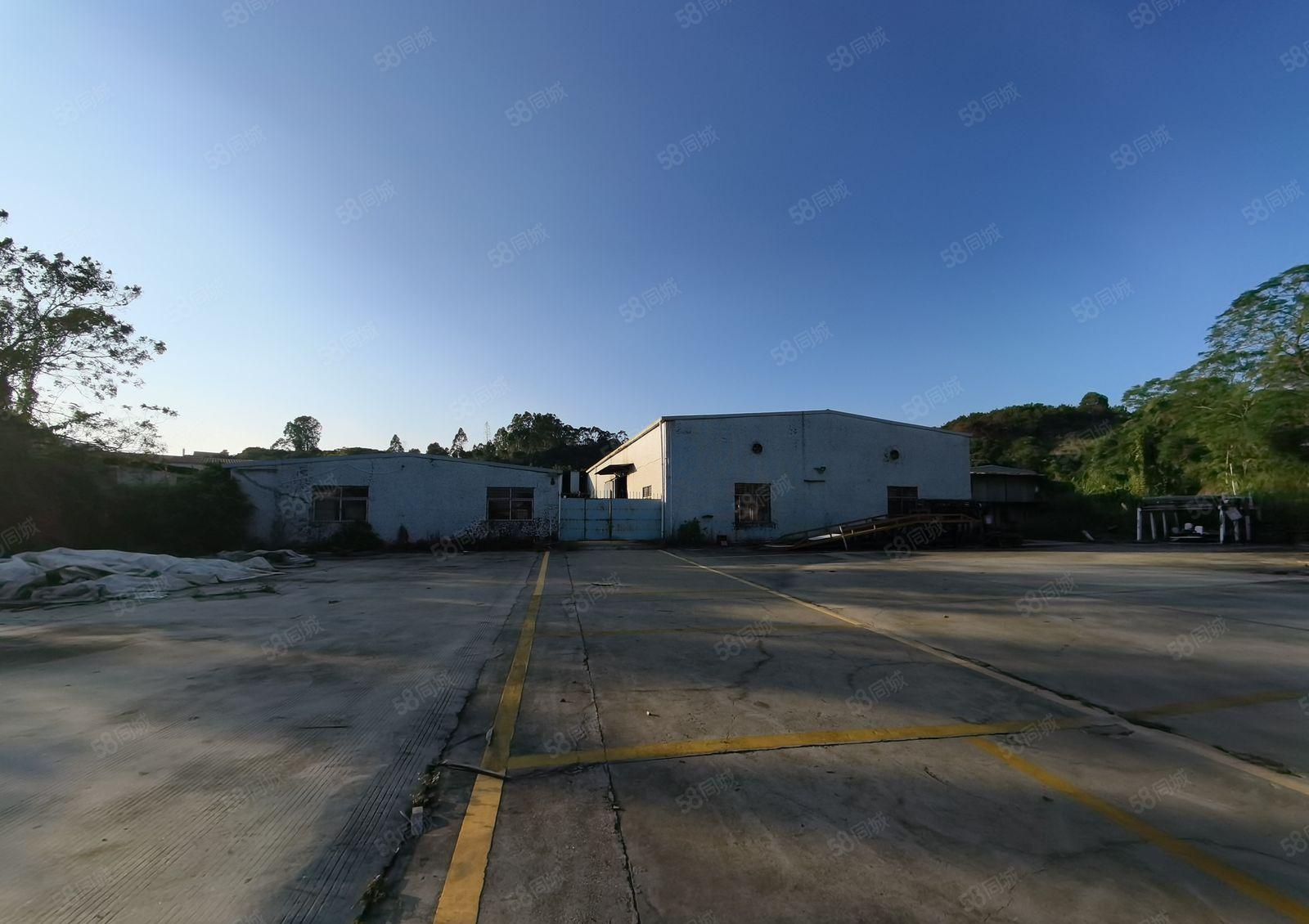 仲恺沥林1800平独院钢构厂房14元出租空地4000平免费用