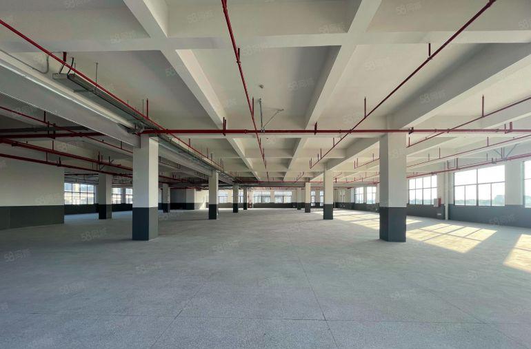 仲恺特价8元独门独院3000全新厂房出租带装修实际面积