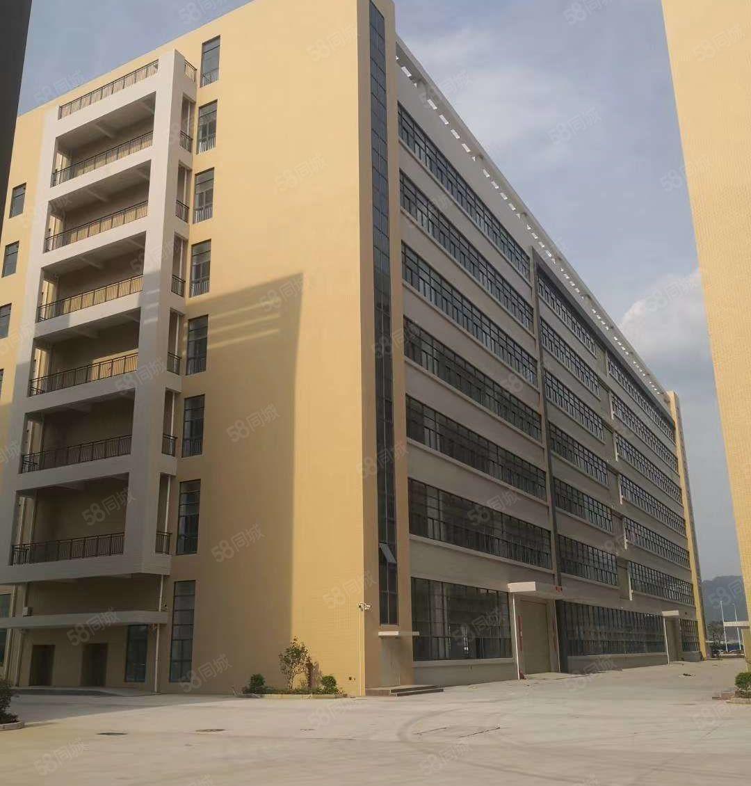 惠环西坑标准厂房出租 2000平 750平方 带货梯