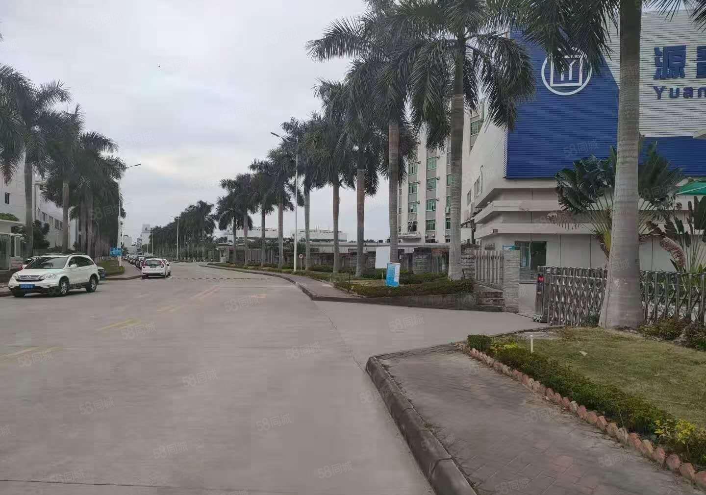 陈江甲子工业园区8000独院单一层钢结构厂房招租，可分租