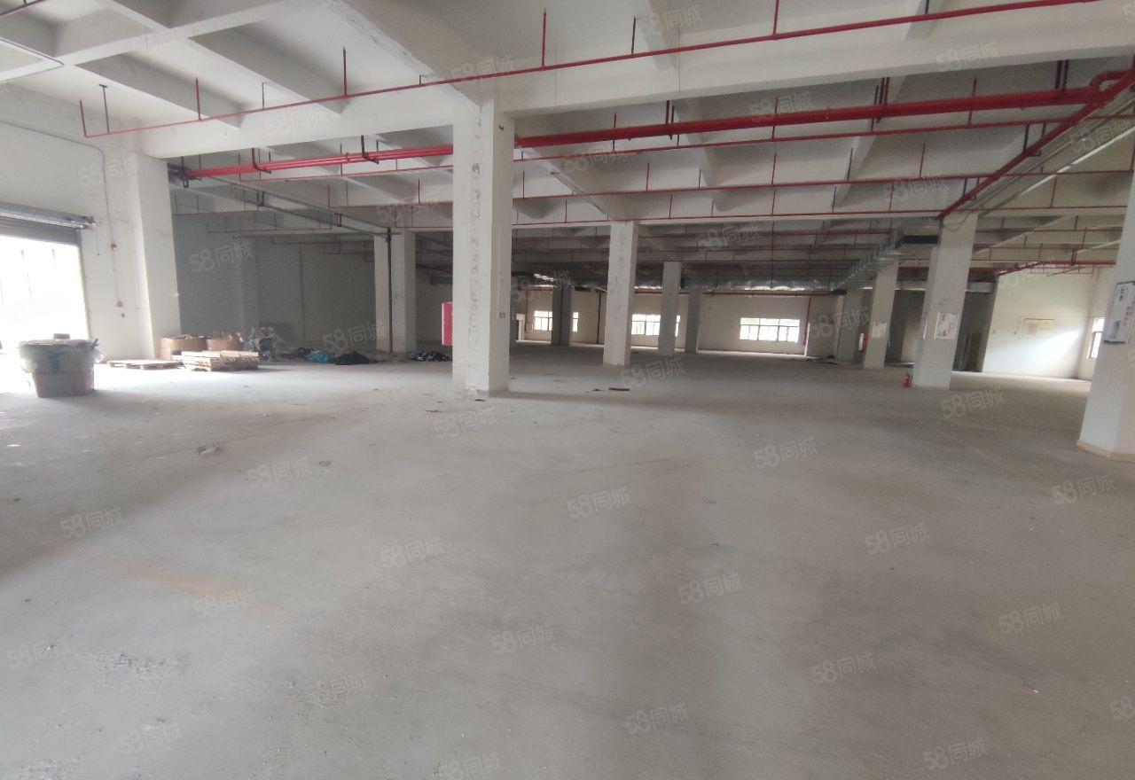 （零公摊面积）惠环市场附近原房东园区厂房出租1800平