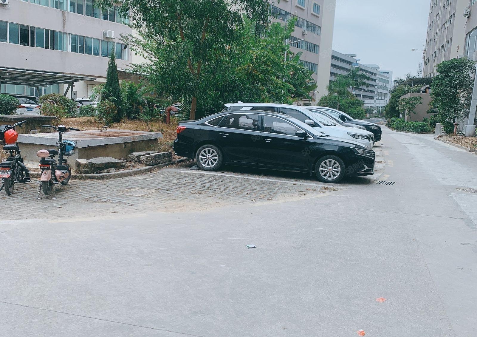 仲恺陈江原房东精装修2000一楼层高6米1000仓库厂房出租