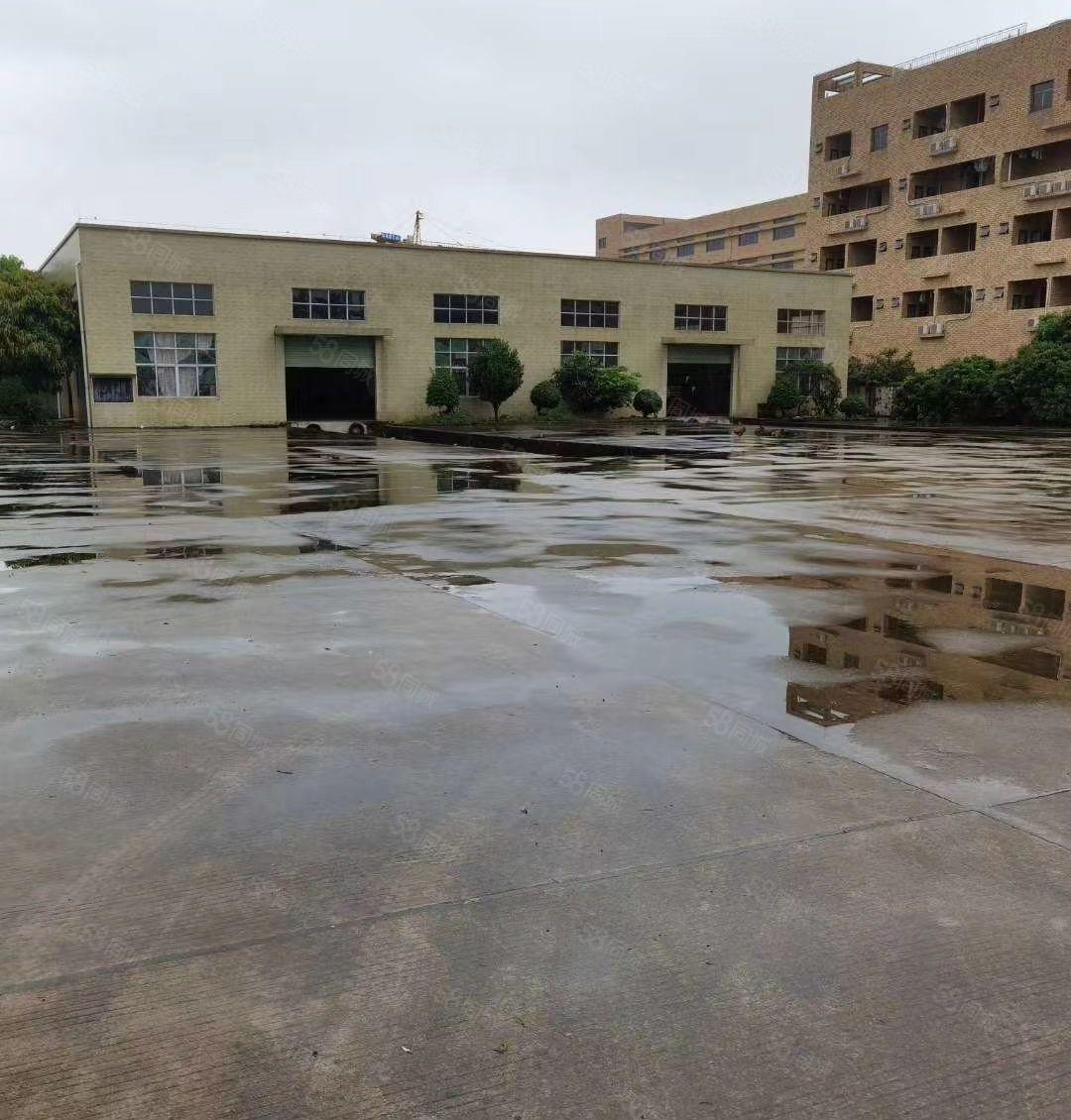 沥林园区独栋钢构厂房3800平方，可分租1200平方带精装修