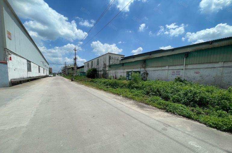 惠州惠东白花独院钢构7000平1000平起分高度11米