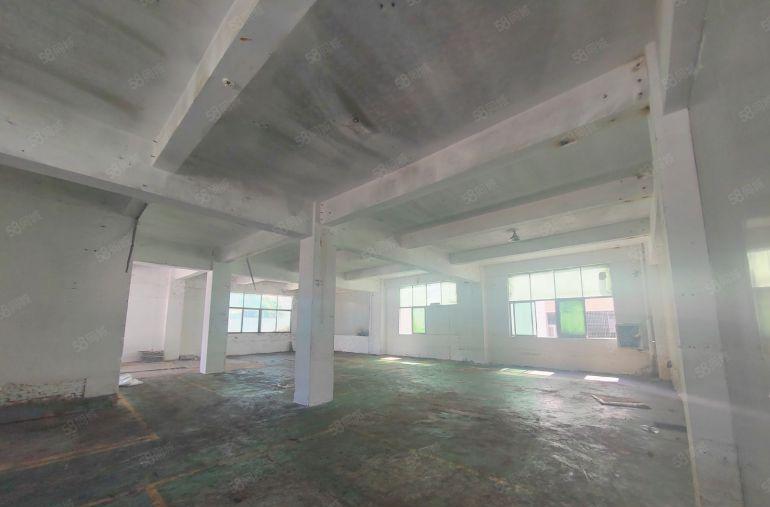 仲恺陈江原房东小面积一楼工业园厂房出租办公仓库