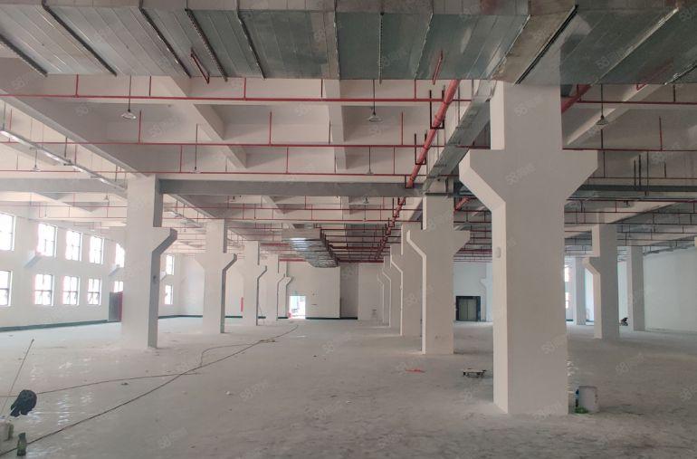 原房东红本厂房直租空置12楼带牛角3600平带装修水电齐全