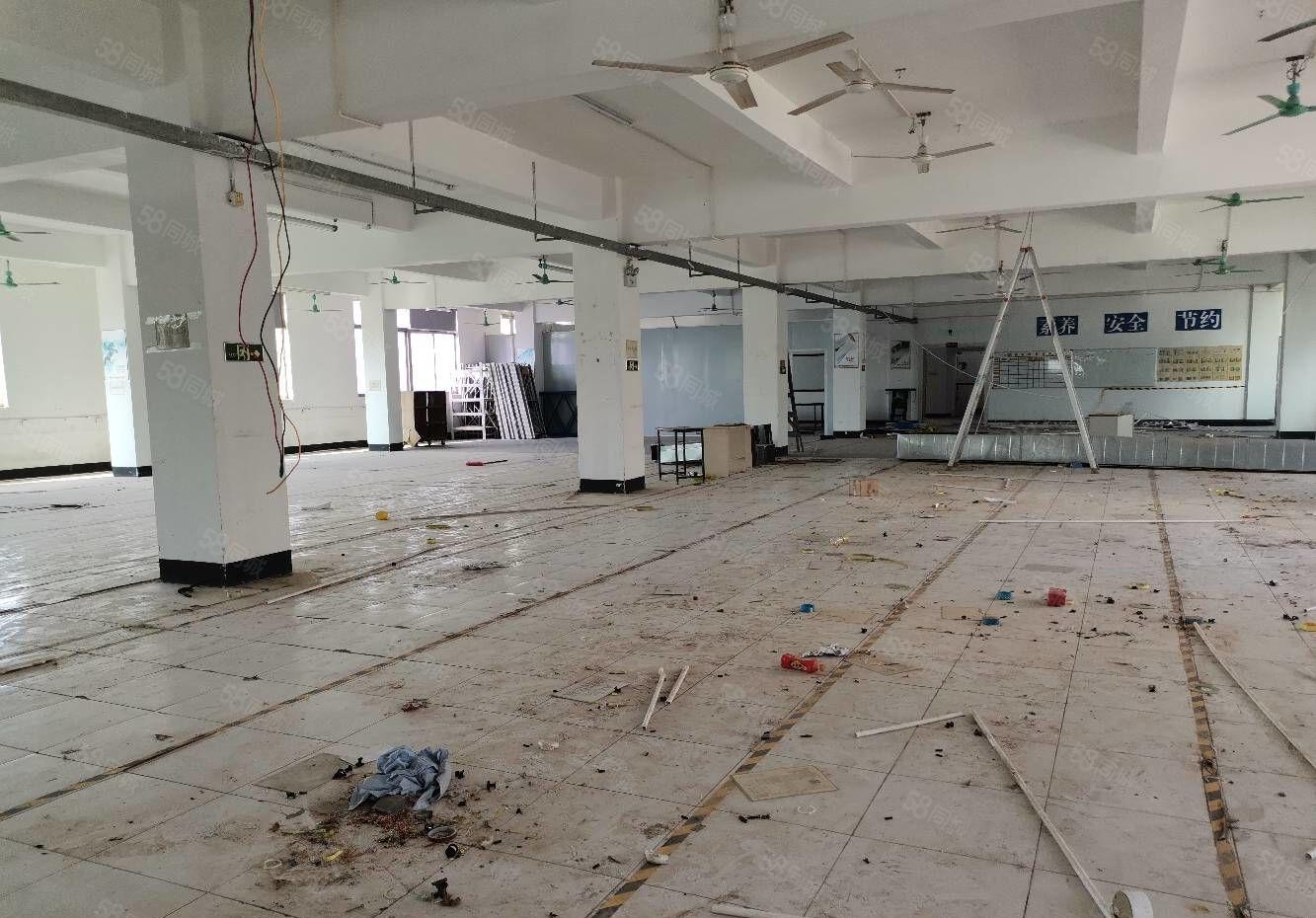 仲恺惠台工业9000平米独院，带红本的标准厂房出租