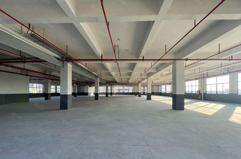 特价12.8元陈江全新厂 1800平方实际面积出租红本便宜