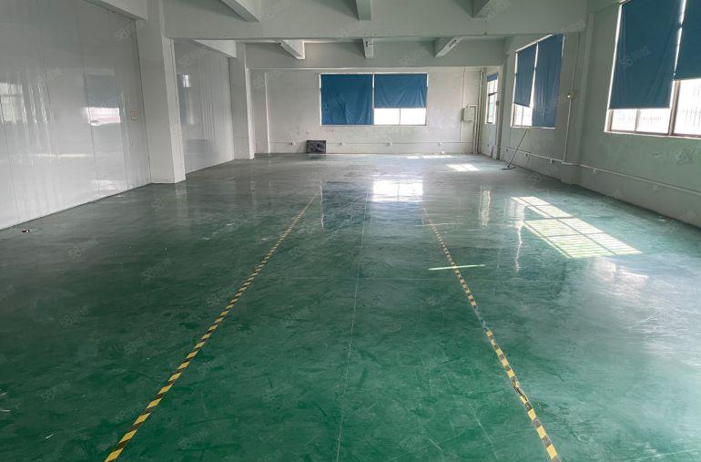 陈江新出原房东一整层带装修厂房600平方水电齐全