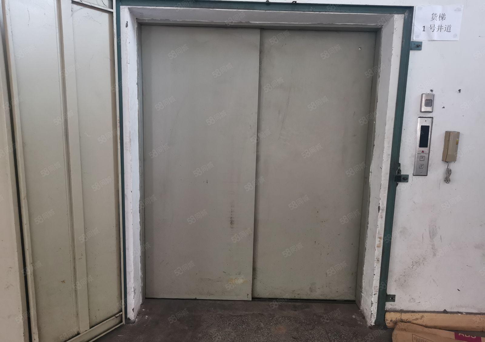 仲恺陈江6000方独门独院红本厂房出租好招工大空地3吨货梯