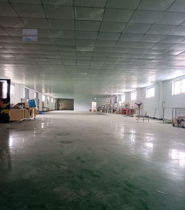 仲恺陈江500平无尘车间原房东实际面积出租大工业园区配套齐全