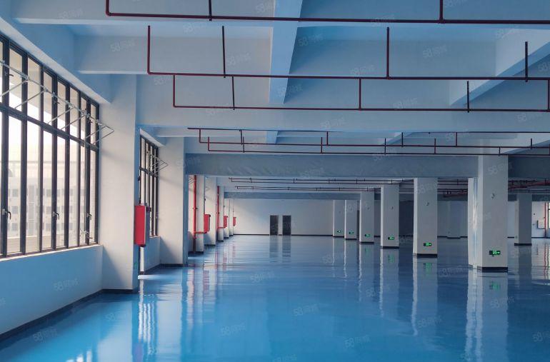 9元低价仲恺潼侨全新原房东楼上带装修红本厂房出租