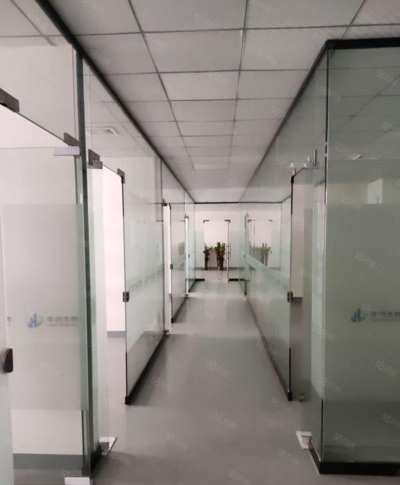 陈江中心工业区整层2300平方已分格好1000平方 带新装修