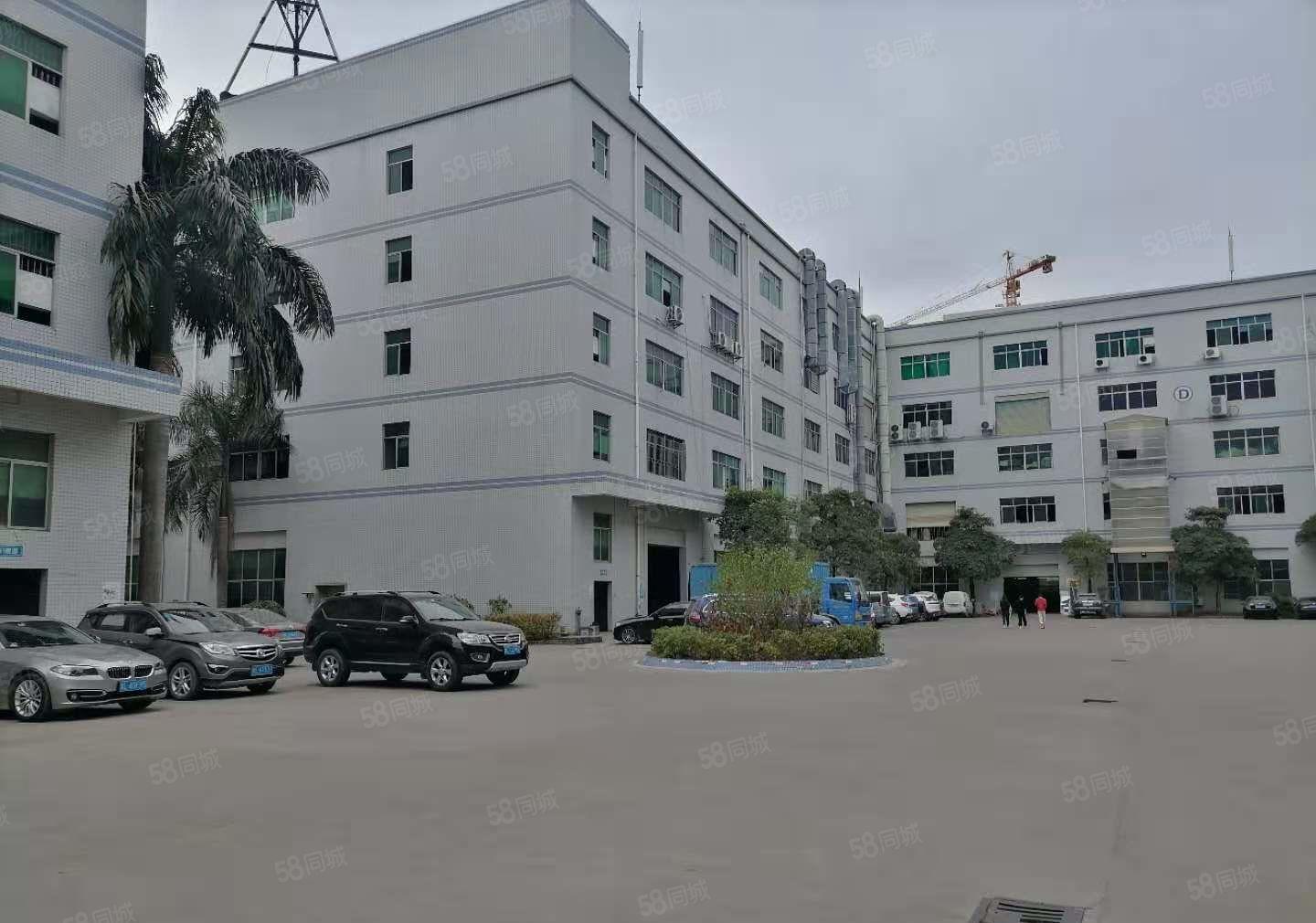 仲恺陈江1730方精装修三楼红本厂房出租无公摊3吨货梯大空地