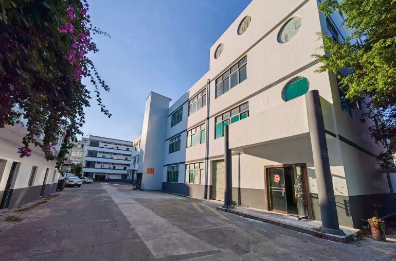 陈江楼上800平原房东厂房仓库急租有意者可聊大小可分