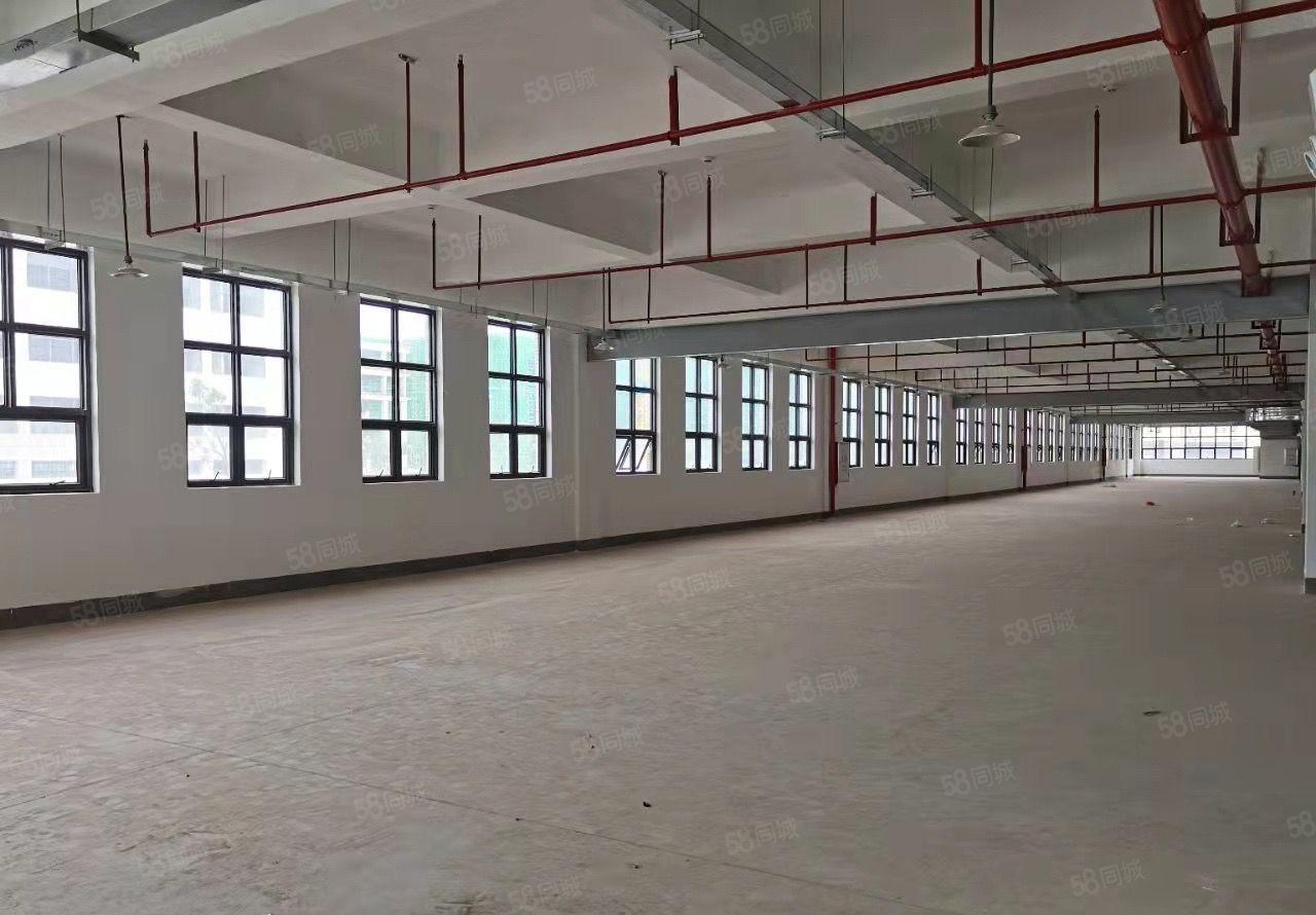 仲恺陈江镇东升村石泉岭路新出独门独院标准厂房，交通便利。