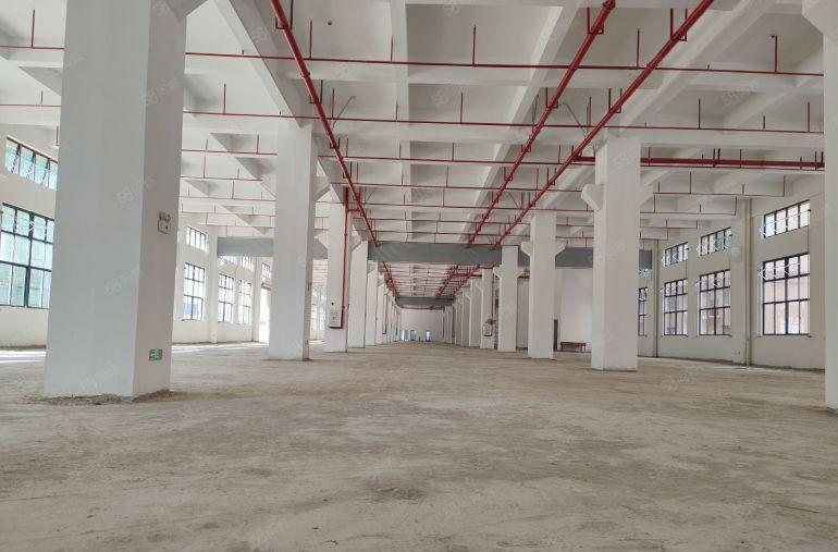 5元！仲恺高新区新出单层5000平原房东实际面积出租 可分租