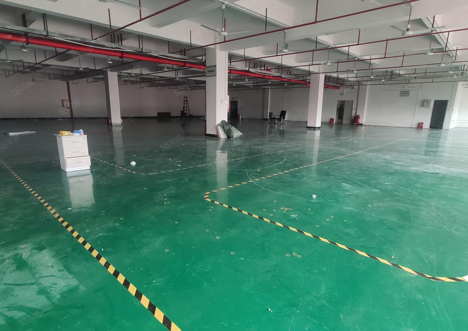 10元惠州潼湖5000平原房东红本厂房仓库出租一楼出租可分租