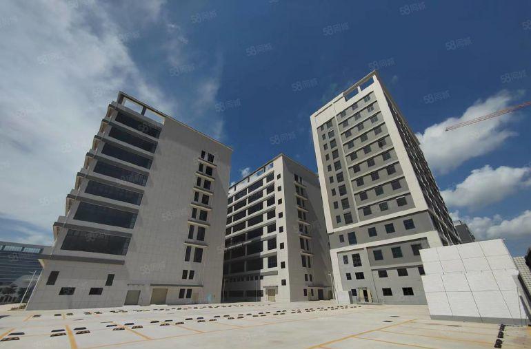 仲恺陈江全新厂房出租低价大小可分租可环评重工业标准厂房空地大