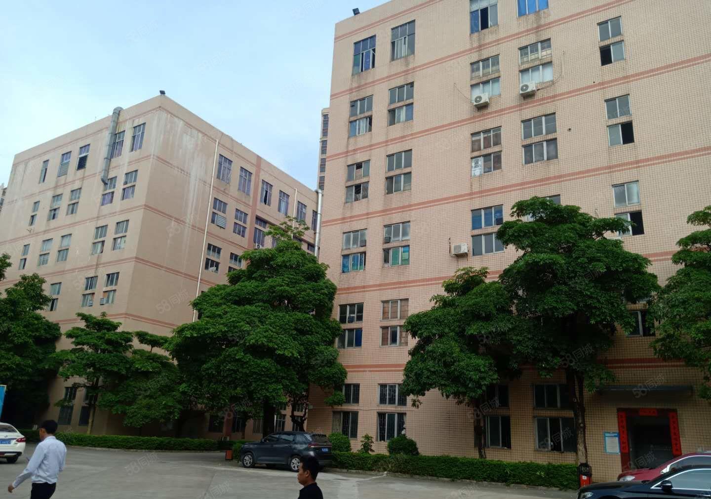 仲恺陈江原房东4万平方大型工业区厂房带红本出租