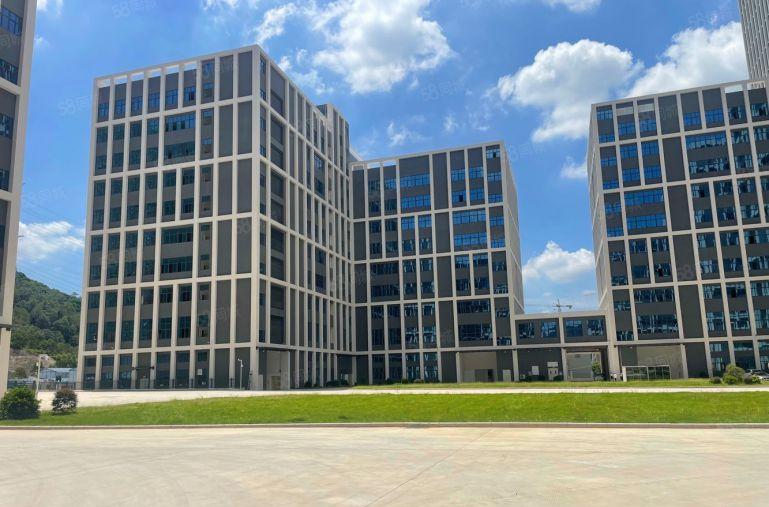 只要6块 惠环原房东单层面积2000平厂房实际面积低价出租