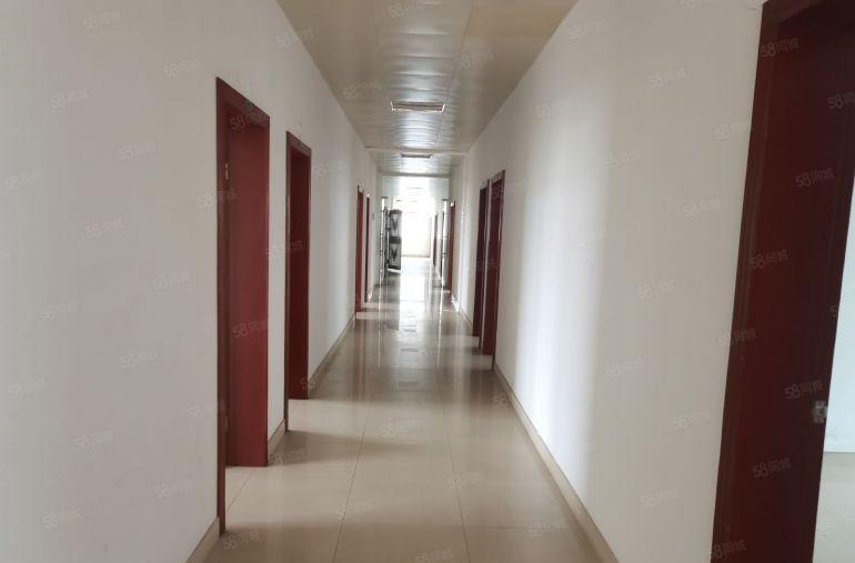 滴水12米！陈江镇中心独院砖墙到顶单一层16000平出租可分