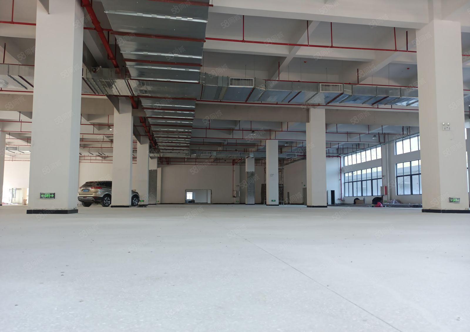 仲恺 沥林 高速路口 原房东 全新5000平方厂房出租可分租