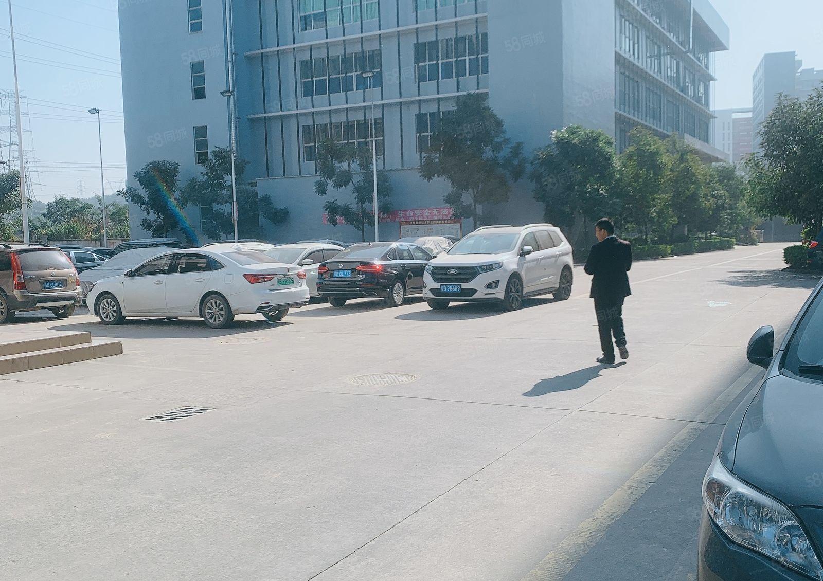 仲恺陈江原房东1000平精装修一楼高6米200仓库厂房出租