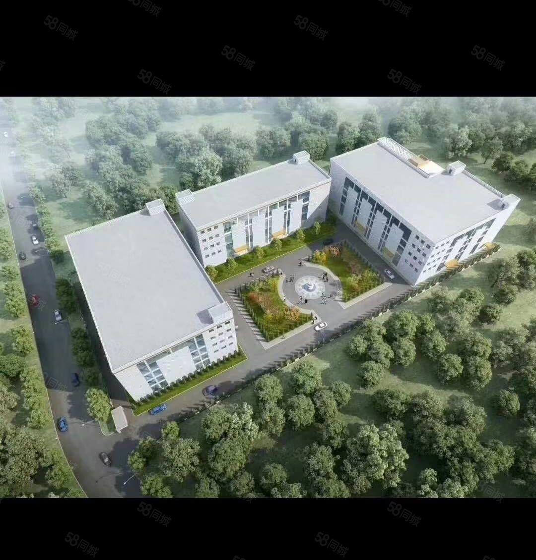 仲恺平南罗格朗开关厂原房东分租一楼600标准厂房带装修有环评