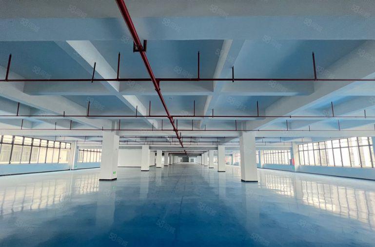 仲恺新出原房东3000平米带地坪漆厂房仓库低价出租有红本可分