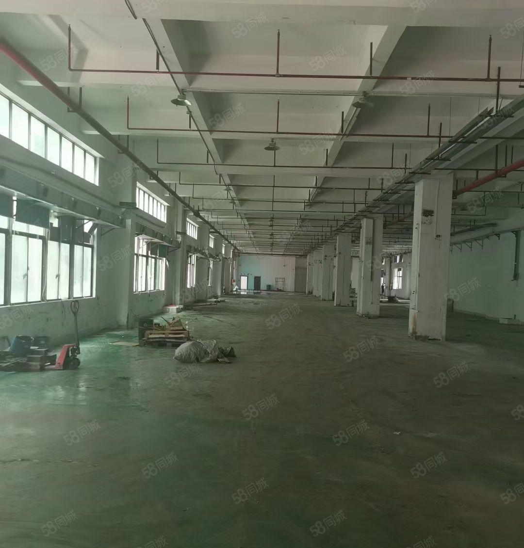 仲恺高新区陈江标准厂房带装修1500平可分租