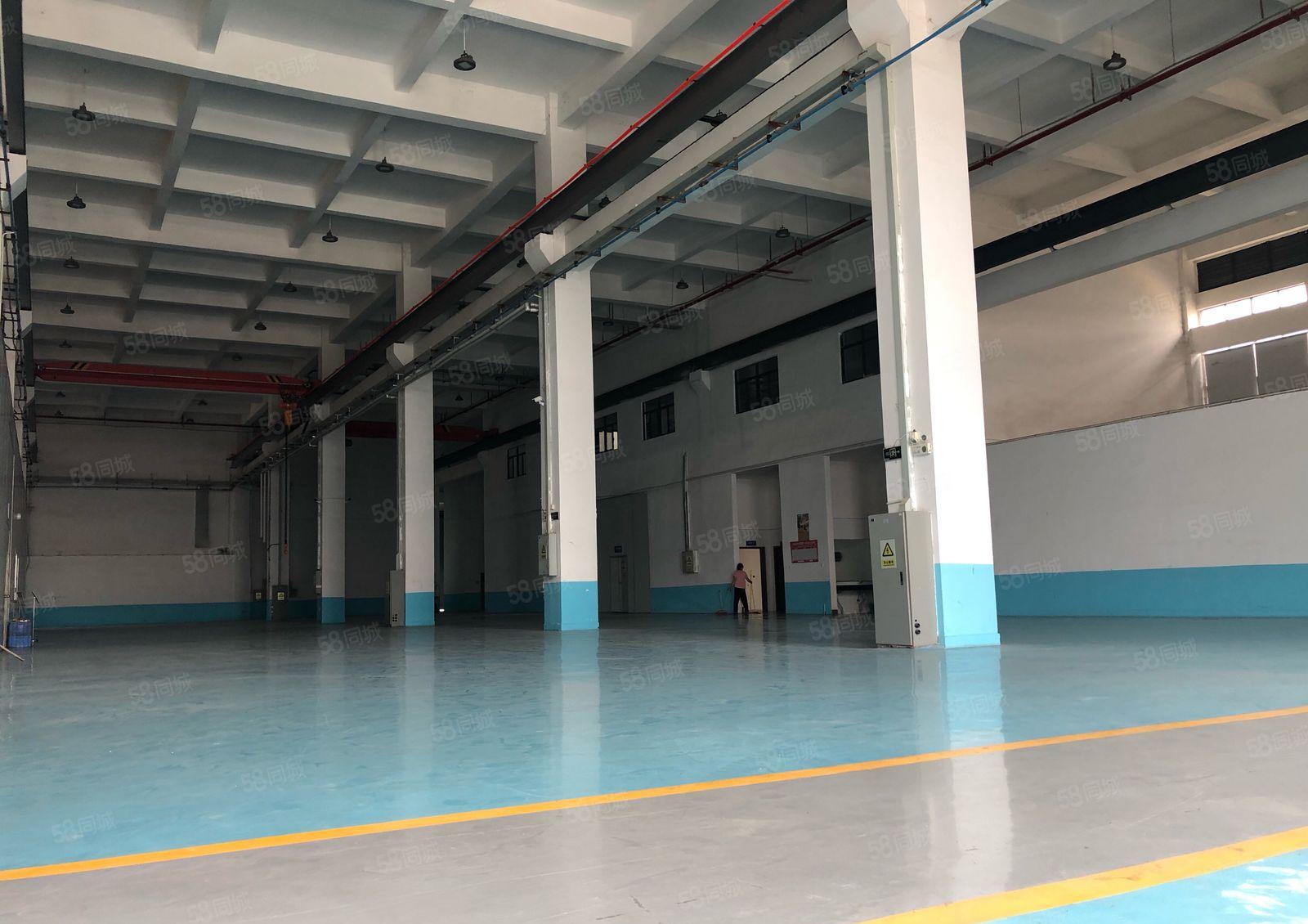 仲恺惠环TCL附近一楼2300平方9米高带航车标准厂房无公摊