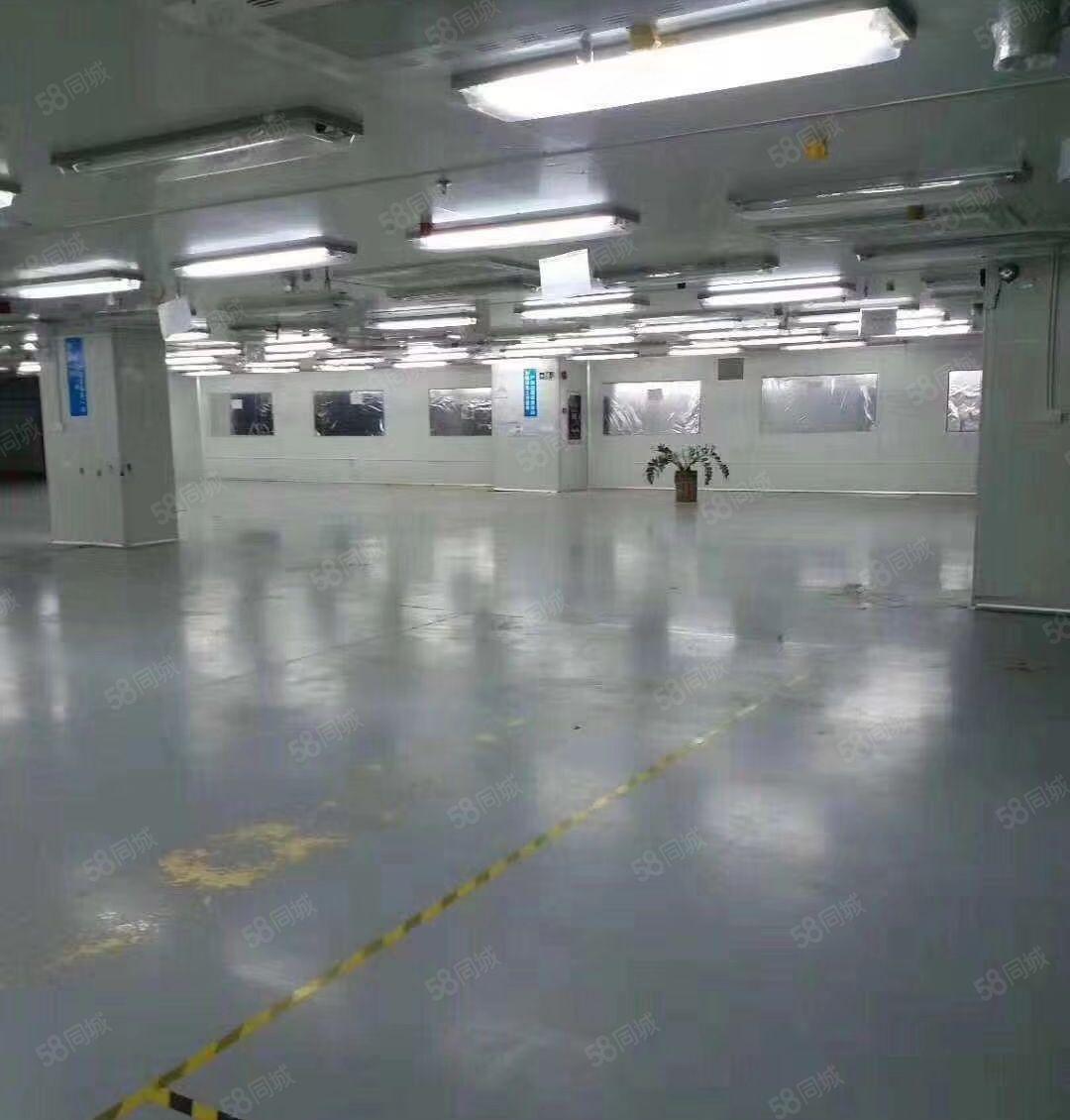 赠！陈江标准厂房 独门独院 红本产权证件齐全 厂房可租可卖