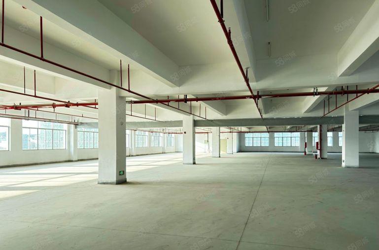 8元！仲恺高新区独门独院20000平厂房仓库低价出租可分租