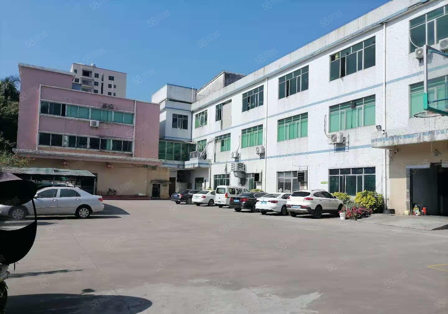 仲恺陈江6000方独门独院红本厂房出租好招工大空地3吨货梯