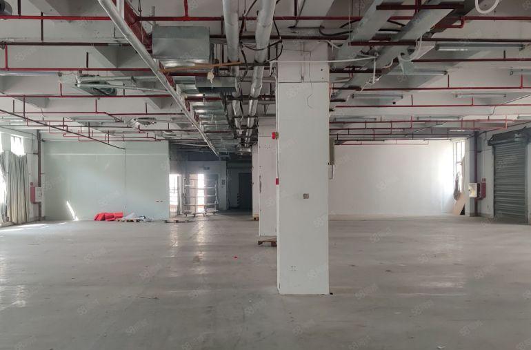 仲恺低价房源精装修陈江原房东直租单层面积3000平大小可分