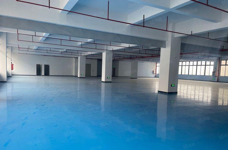 只要6块 惠环原房东单层面积2000平厂房实际面积低价出租