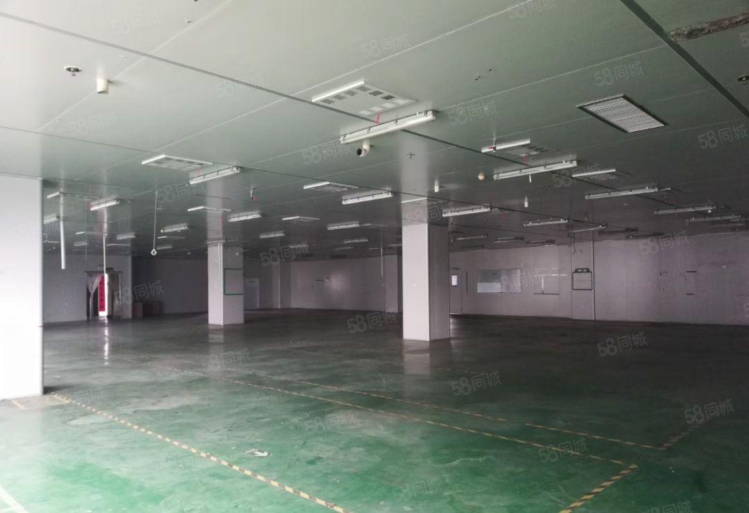 仲恺高新区带装修无尘车间2200平可分租