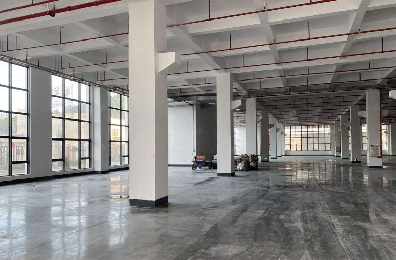 惠州市全新红本厂房10元起租面积1000平方起分