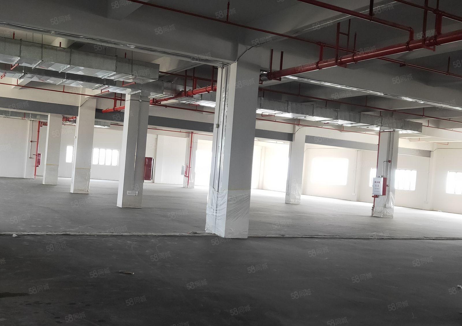 罗群工业区工业园分租一楼厂房2000平 700平出租