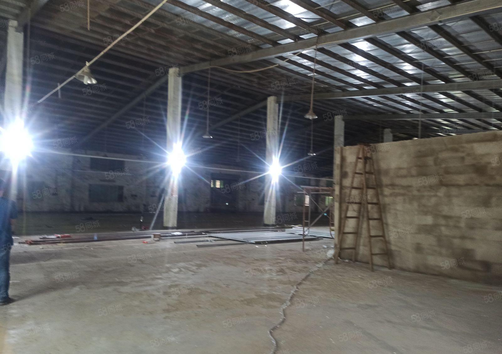 历林单层一楼厂房出租1600平可分租