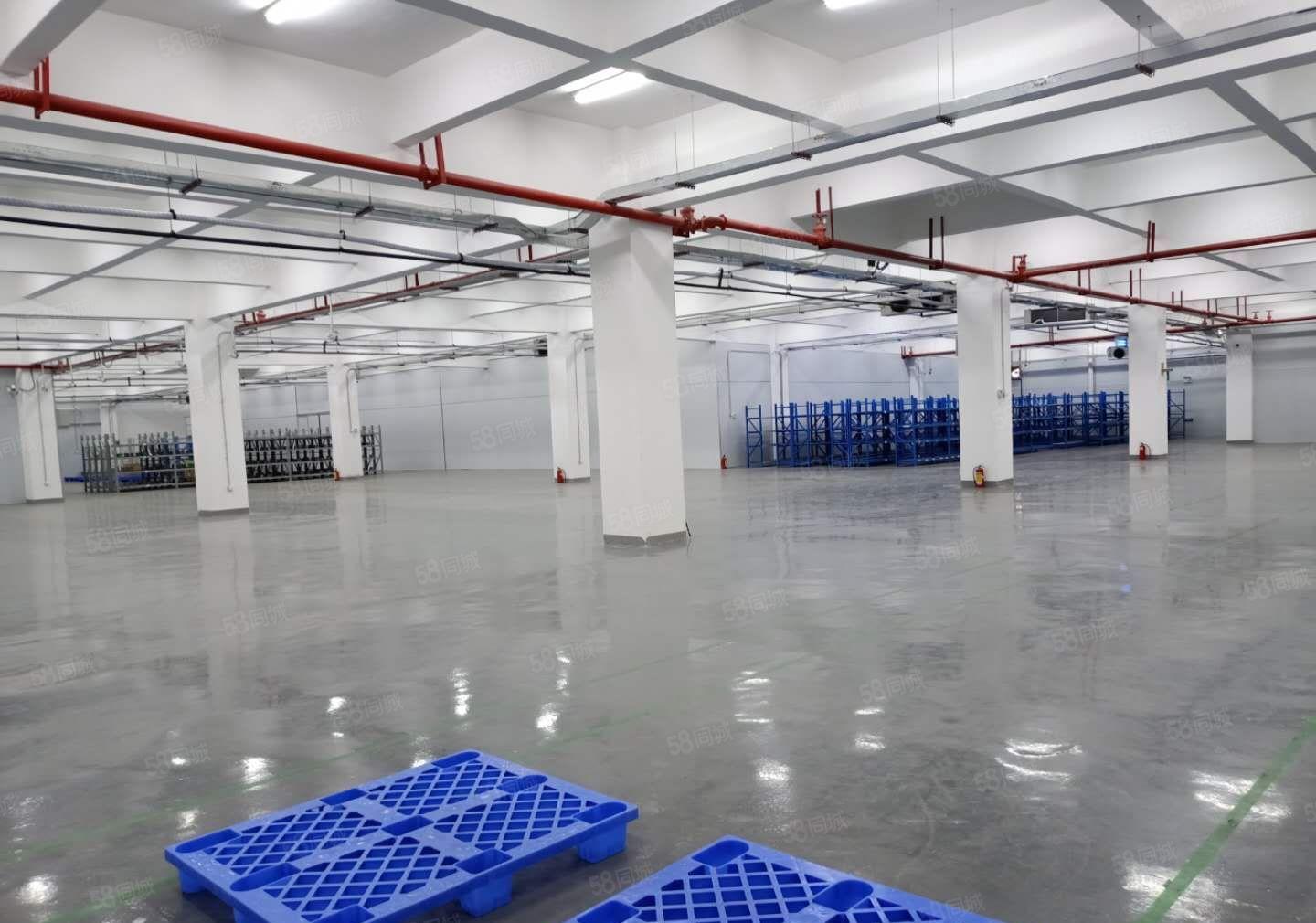 赠！免租期陈江区标准厂房10000平 电子生物产业园 带红本