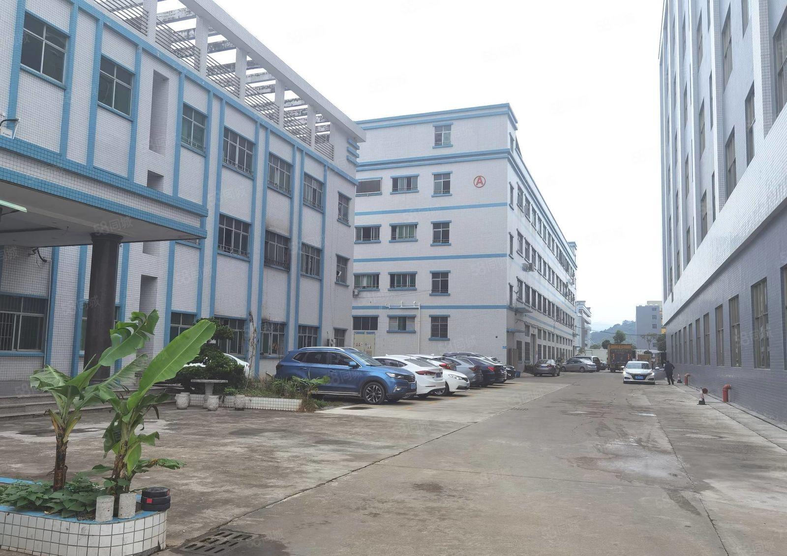 现成注塑环评，惠州沥林原房东一楼1000平厂房适合注塑模具